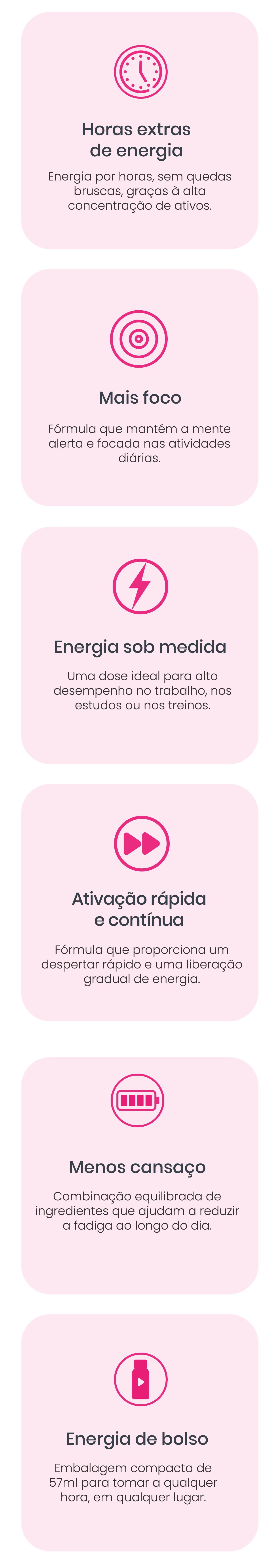 Como o Bora funciona