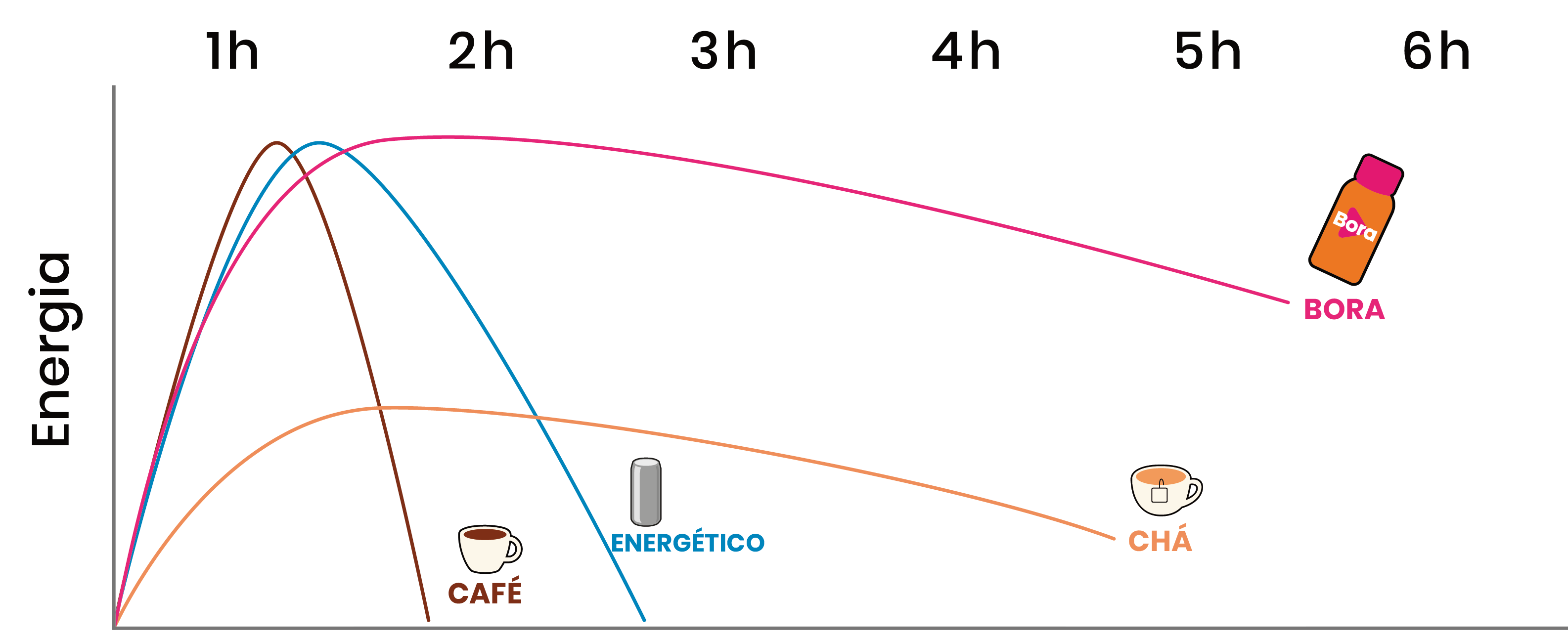 Como o Bora funciona